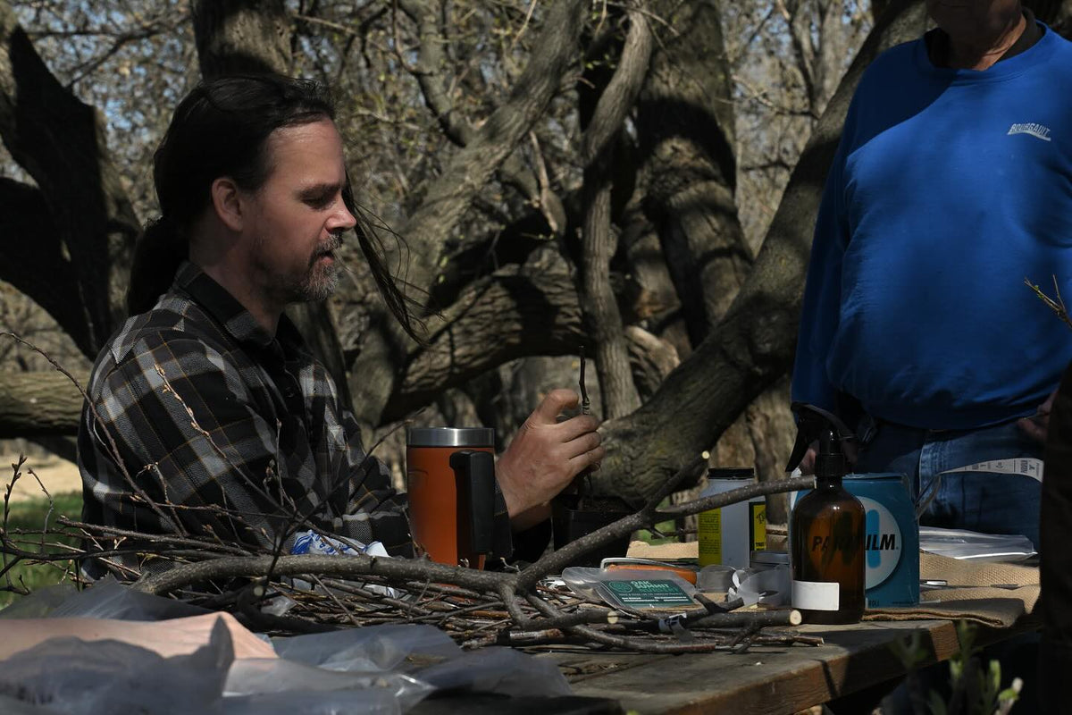 grafting workshop on the weekend, thanks to everyone who came out, image 3 of 9