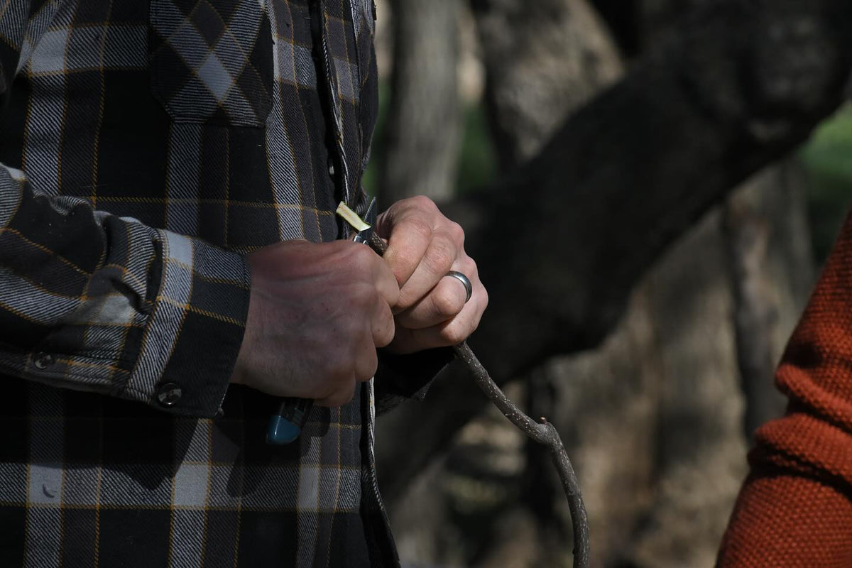 grafting workshop on the weekend, thanks to everyone who came out, image 4 of 9