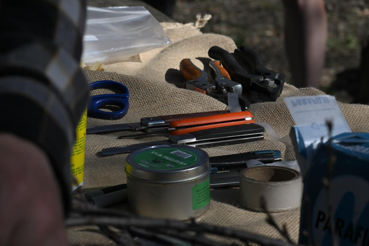 grafting workshop on the weekend, thanks to everyone who came out, image 6 of 9
