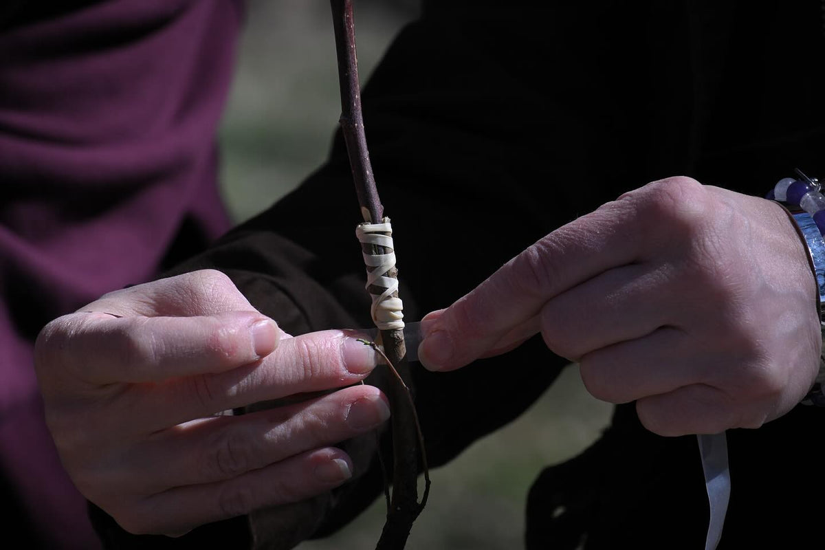 grafting workshop on the weekend, thanks to everyone who came out, image 8 of 9