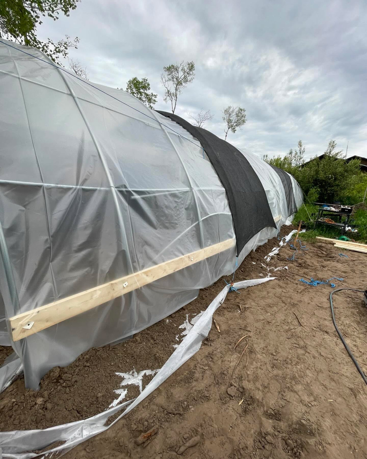 greenhouse addition is up, will be a work in progress until fall, image 2 of 2