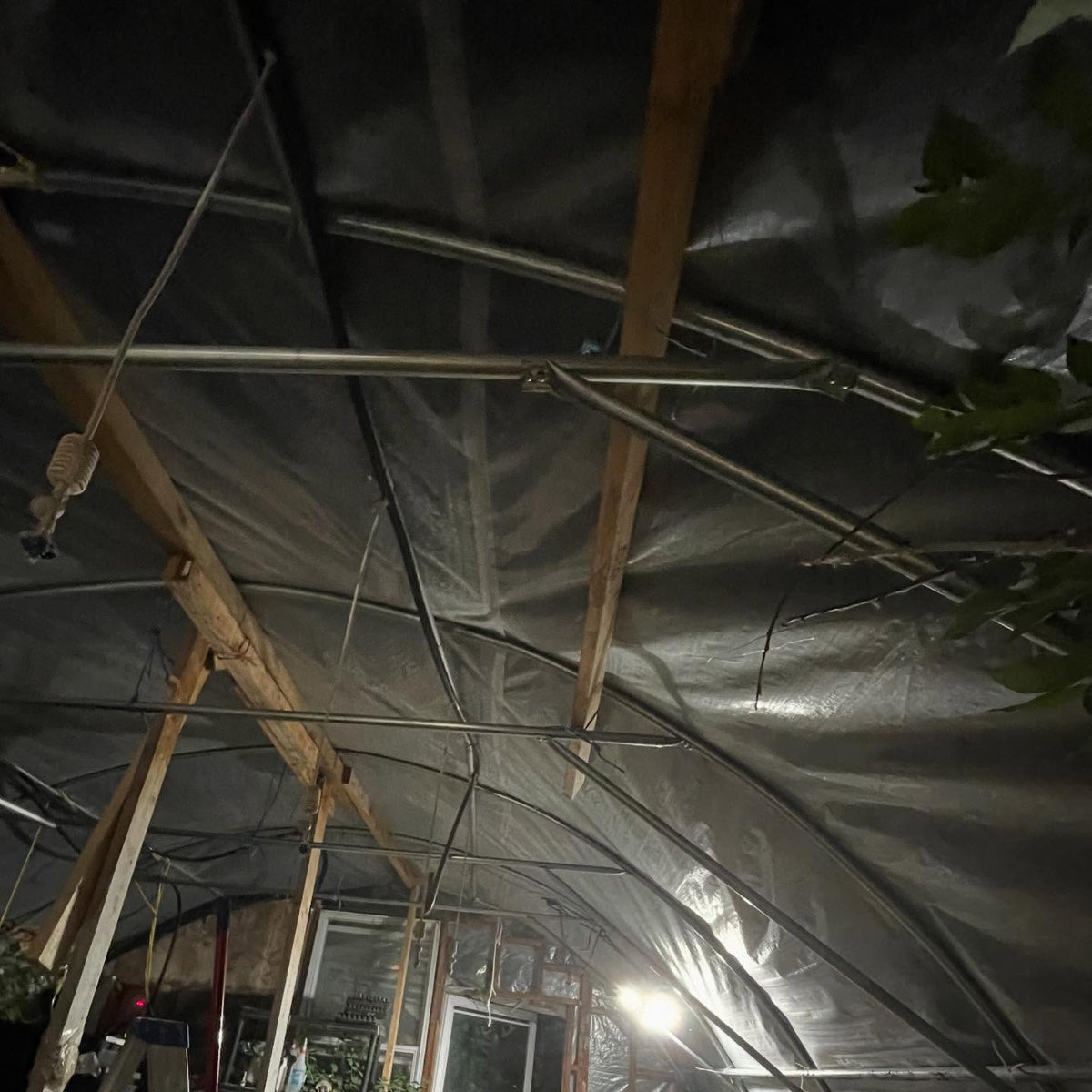 greenhouse renovation just about finished, in the fall we'll replace all of the poly