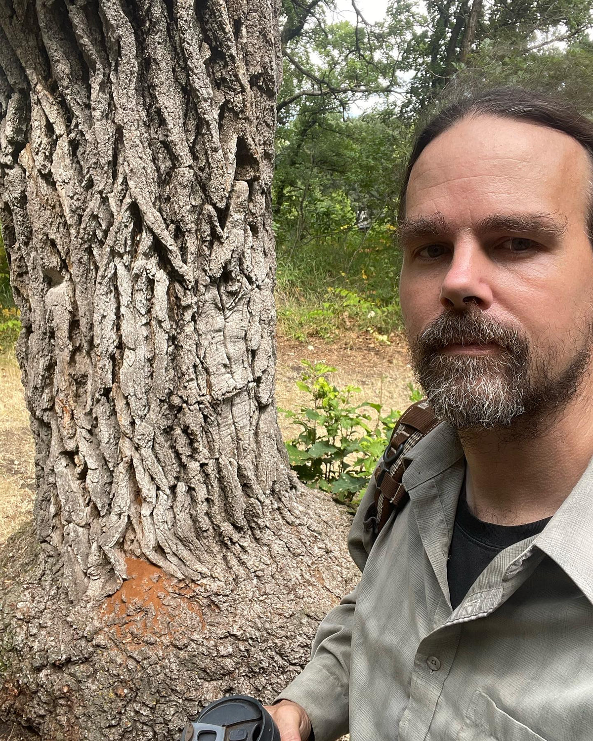 here I am next to a 500 yr old oak that recently fell in a storm, the base at the ground is at least 4ft wide