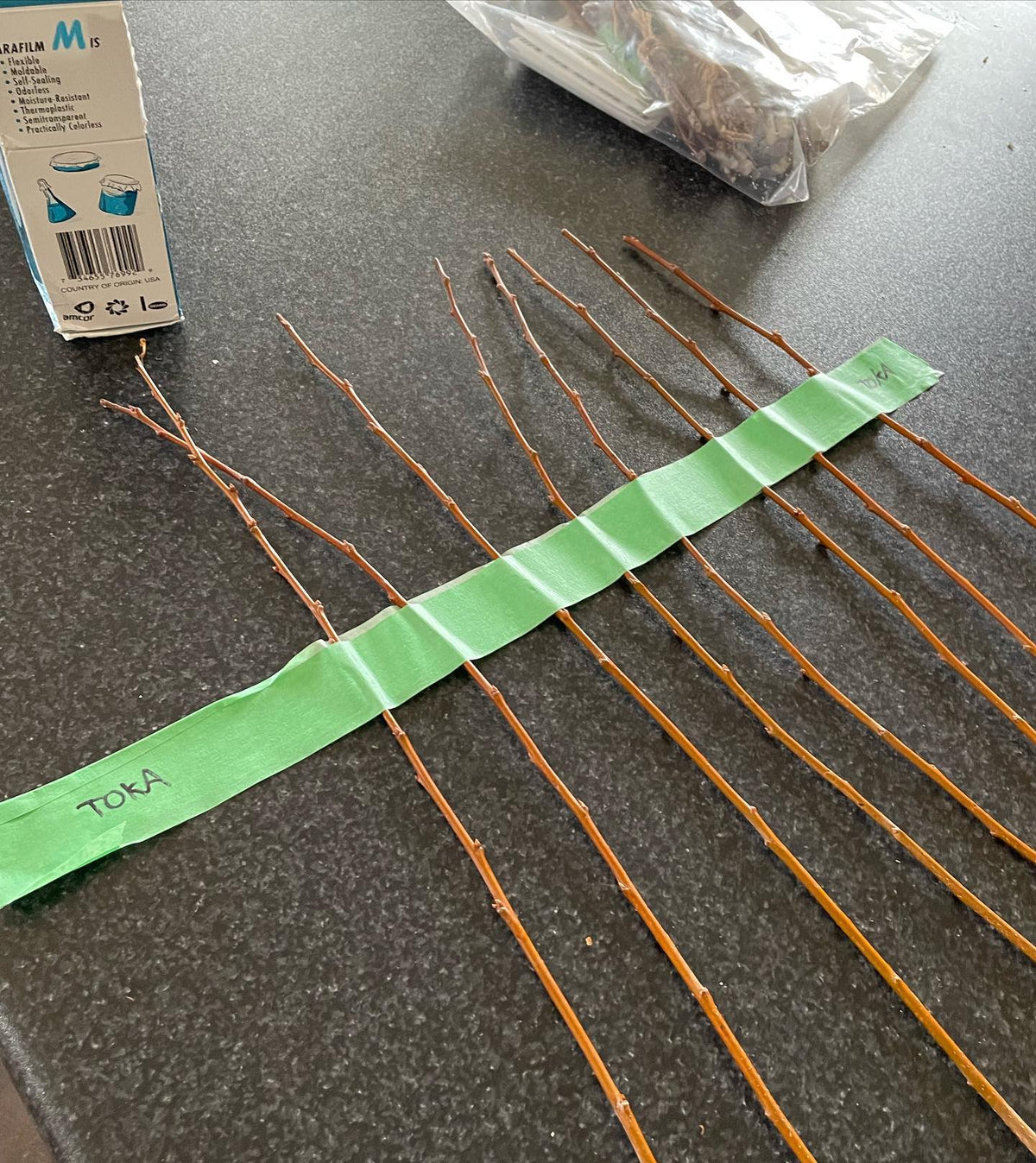 Here’s how I like to pack scion wood for field grafting, image 2 of 3