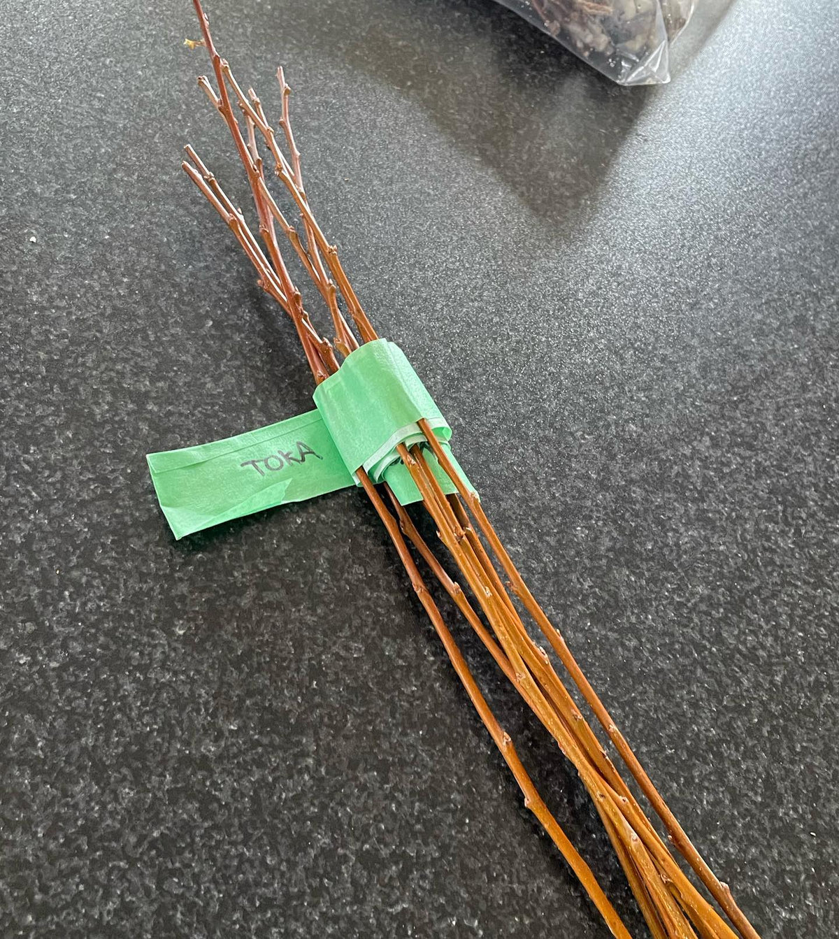 Here’s how I like to pack scion wood for field grafting, image 3 of 3