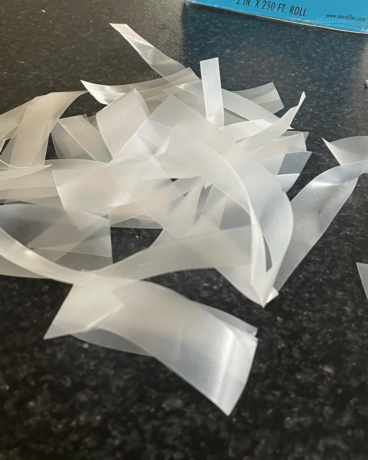 here’s how I prep parafilm strips for grafting