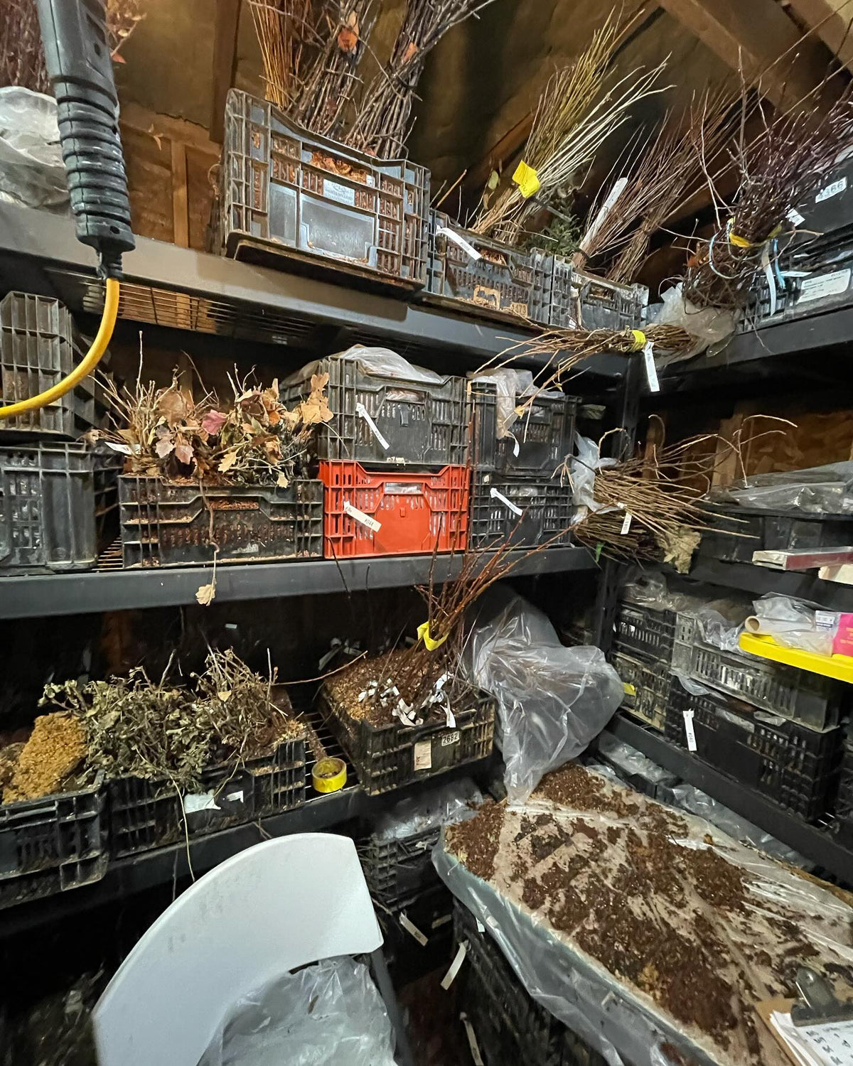 hey it’s a five minute root cellar tour from our small backyard nursery in manitoba, image 3 of 3