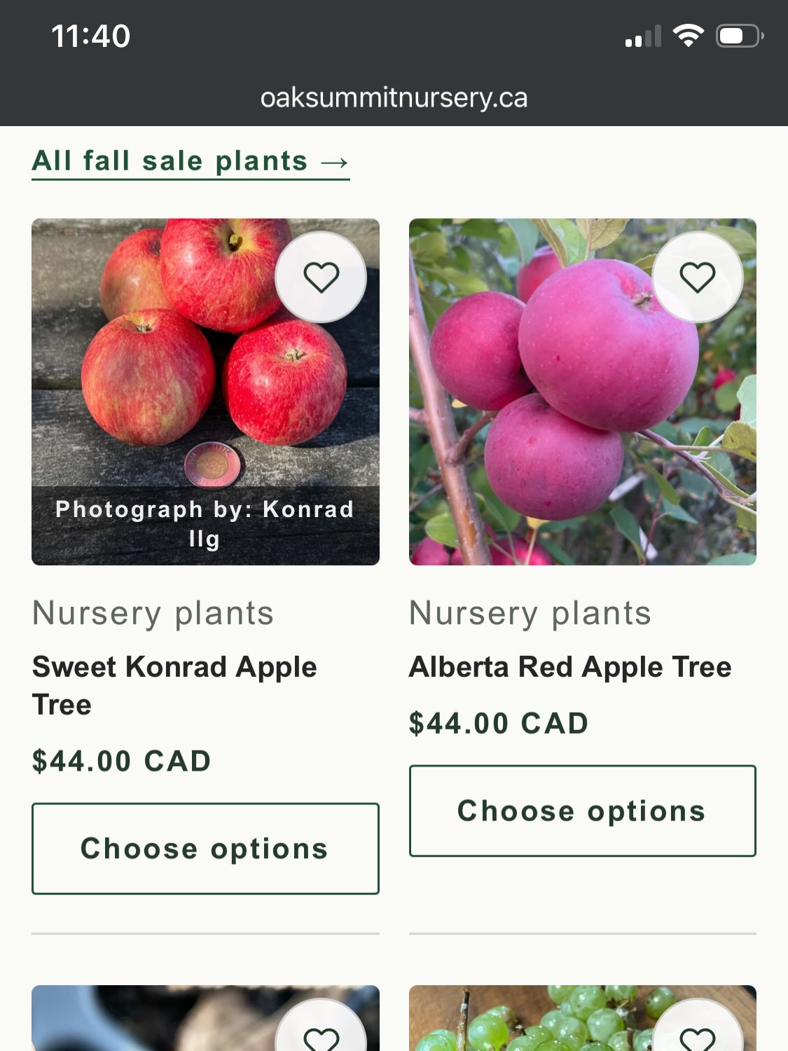 Fall sale product grid showing Sweet Konrad and Alberta Red apple trees