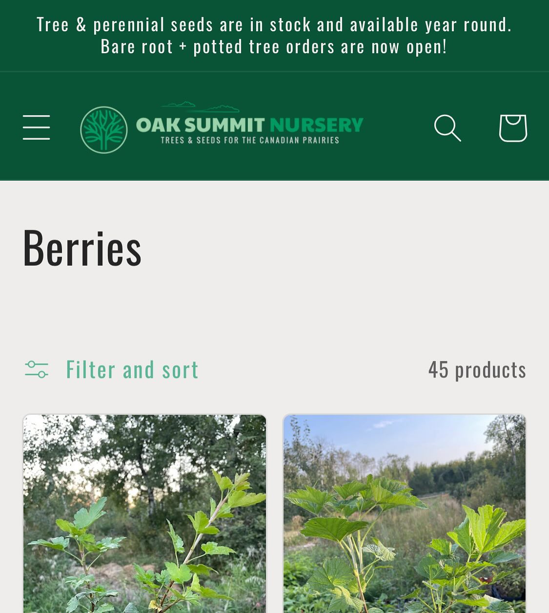 hey we’re open for spring orders, image 1 of 6