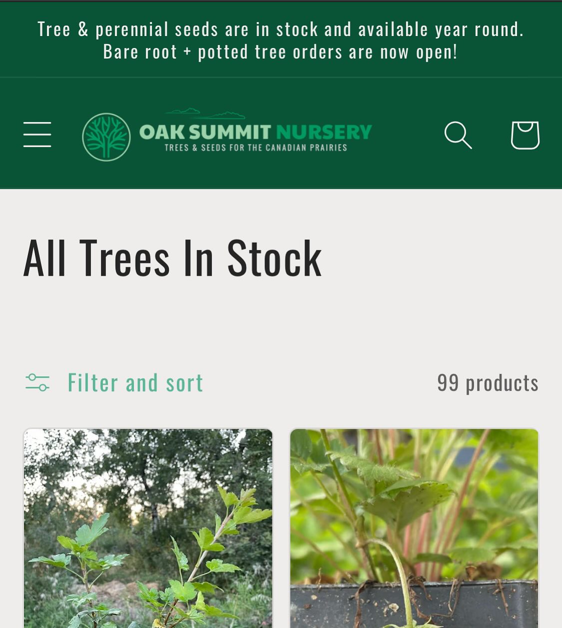 hey we’re open for spring orders, image 3 of 6