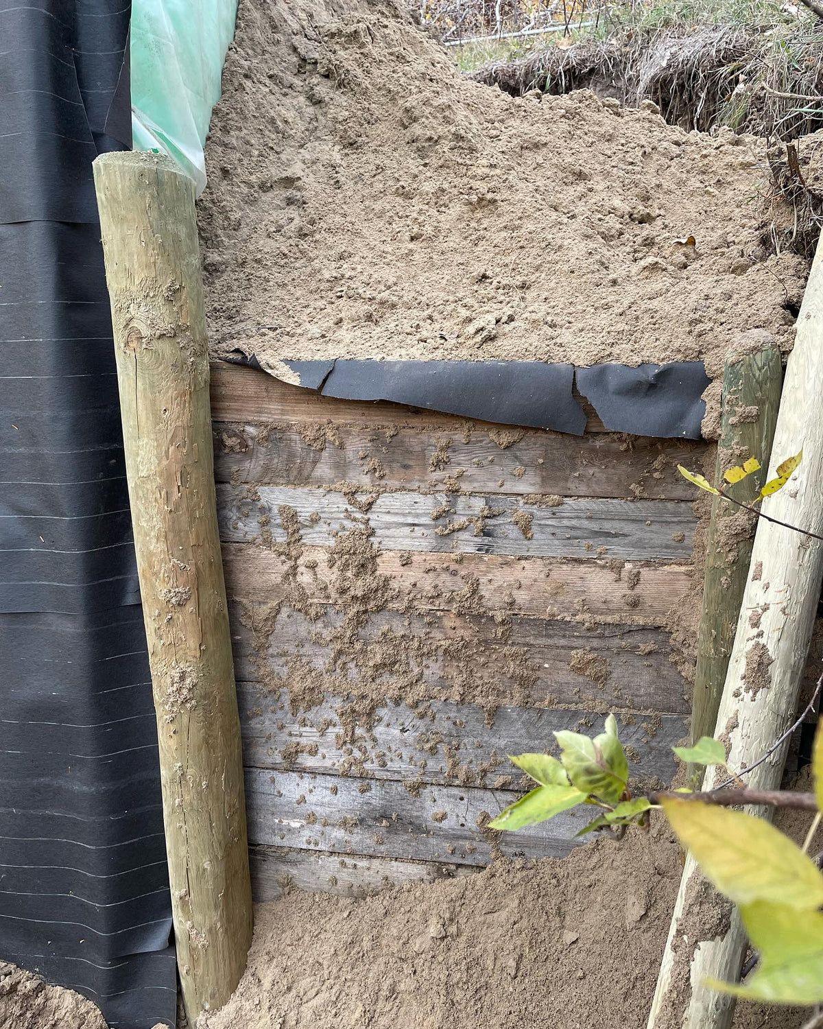 hillside root cellar is progressing, just more backfilling, image 2 of 3