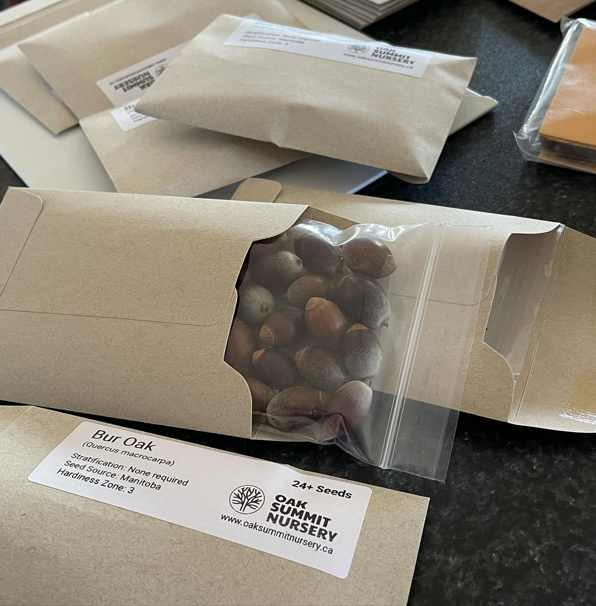 i can pack 24 acorns into these seed packets and the mailers fit through a mail slot - so I ship them worldwide