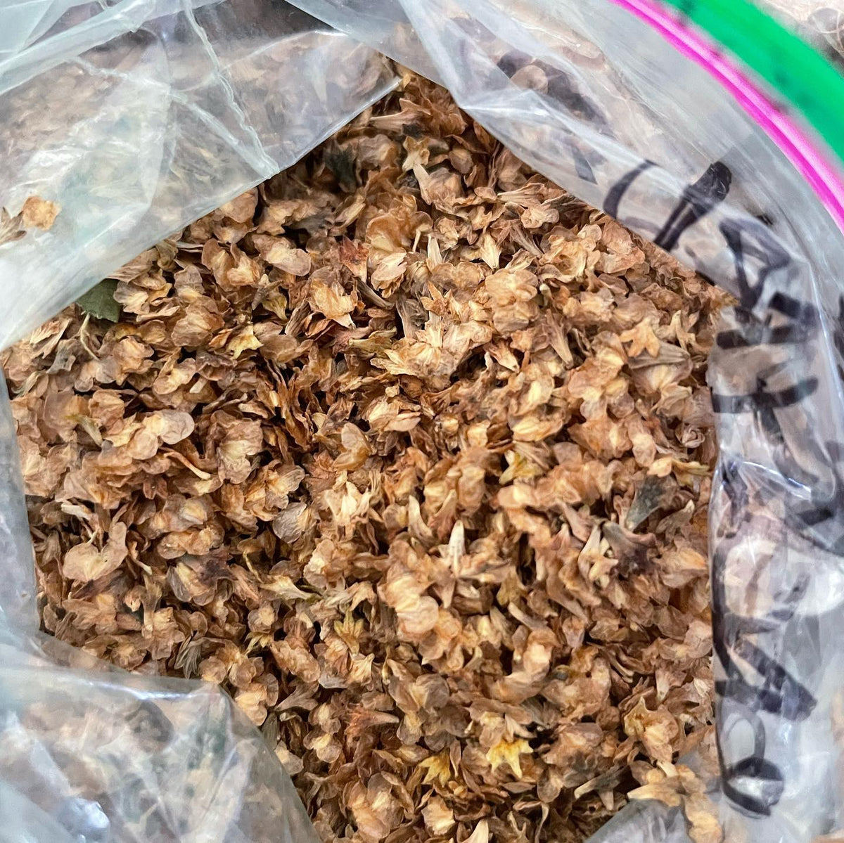 I have some extra seeds collected in the fall so they’re available on the website, image 4 of 5