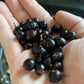 Grosella negra americana silvestre (Ribes americanum) - Arbusto de bayas - Zona 3 - Más de 30 semillas