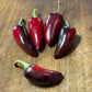 Czech Black Pepper - Pepper Seeds - Heirloom Hot Pepper - 10+ Seeds