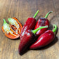 Czech Black Pepper - Pepper Seeds - Heirloom Hot Pepper - 10+ Seeds