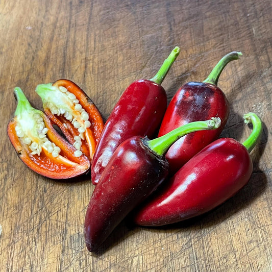 Semillas de pimienta negra checa - Pimiento picante tradicional - Más de 10 semillas