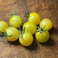 White Rabbit - Tomato Seeds - Heirloom Tomato - 25+ Seeds