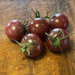 Semillas de tomate Cherry Chocolate - Tomate Heirloom - Más de 25 semillas