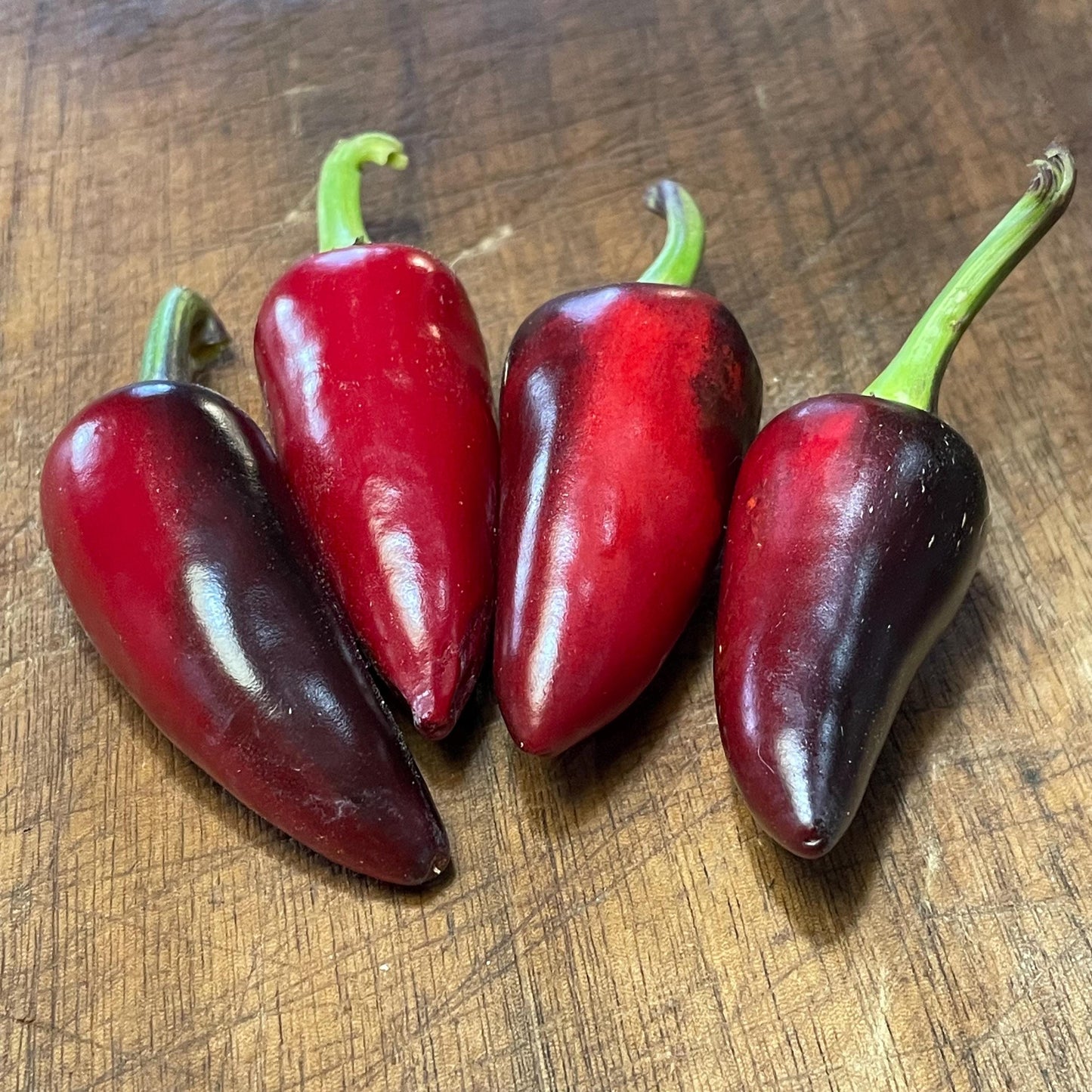 Czech Black - Pepper Seeds - Heirloom Hot Pepper - 10+ Seeds