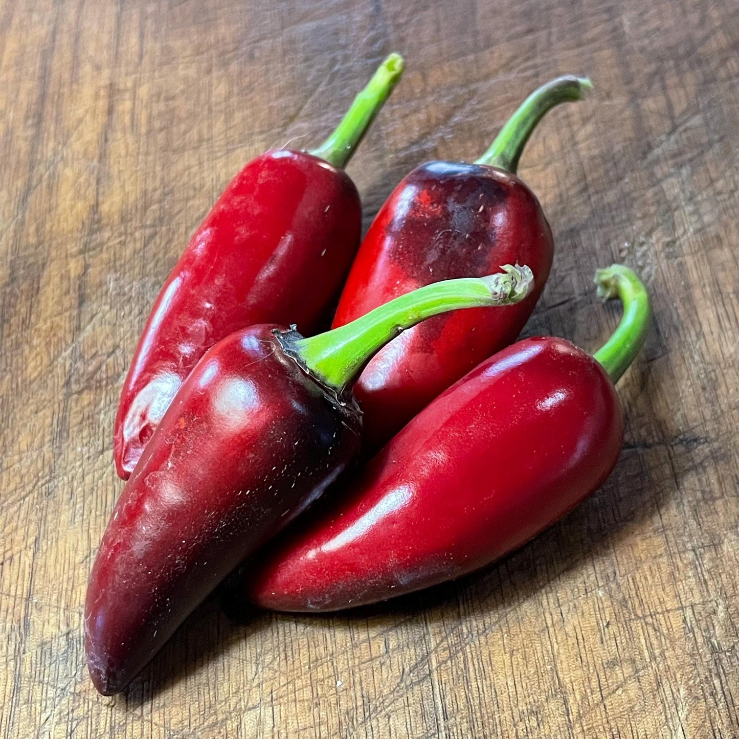 Czech Black - Pepper Seeds - Heirloom Hot Pepper - 10+ Seeds