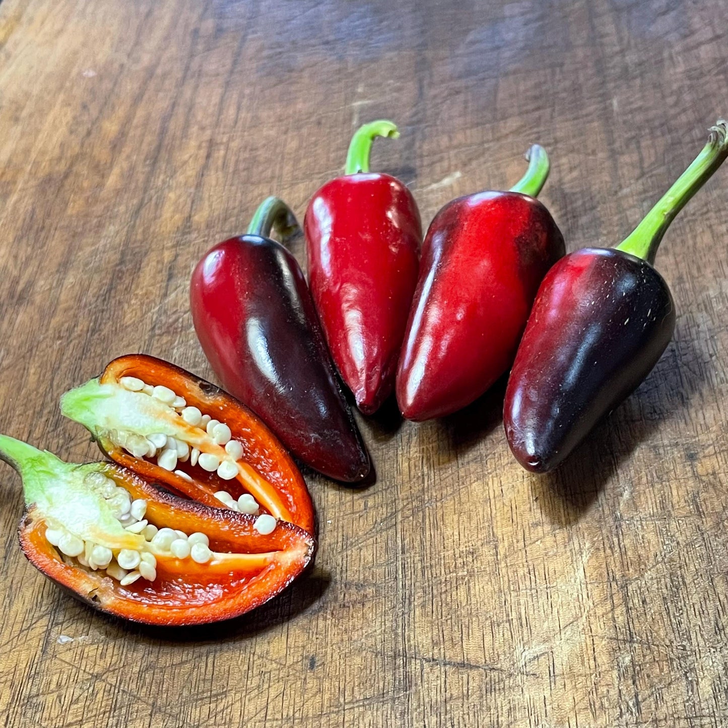 Czech Black - Pepper Seeds - Heirloom Hot Pepper - 10+ Seeds