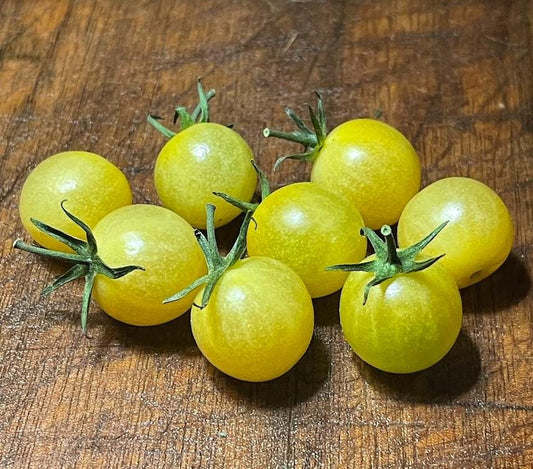 White Rabbit - Tomato Seeds - Heirloom Tomato - 25+ Seeds