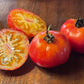 Hillbilly - Semillas de tomate - Tomate tradicional - Más de 25 semillas