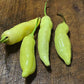 Sugar Rush Peach - Piment fort Heirloom - 10+ graines