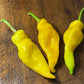 Monkey Face Pepper - Pepper Seeds - Heirloom Hot Pepper - 10+ Seeds