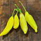 Lemon Drop Pepper - Pepper Seeds - Heirloom Hot Pepper - 10+ Seeds