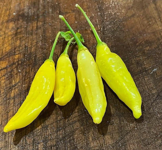 Lemon Drop - Heirloom Hot Pepper - 10+ Seeds