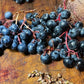 Fontenac Grape Seeds (Vitis sp) - Zone 3 - 30+ Seeds