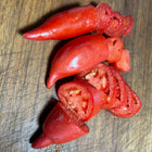 
Jersey Devil