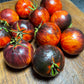 Queen of the Night - Tomato Seeds - Heirloom Tomato - 15+ Seeds