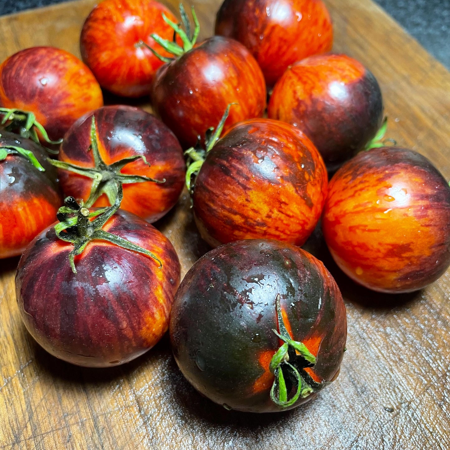 Queen of the Night - Tomato Seeds - Heirloom Tomato - 15+ Seeds