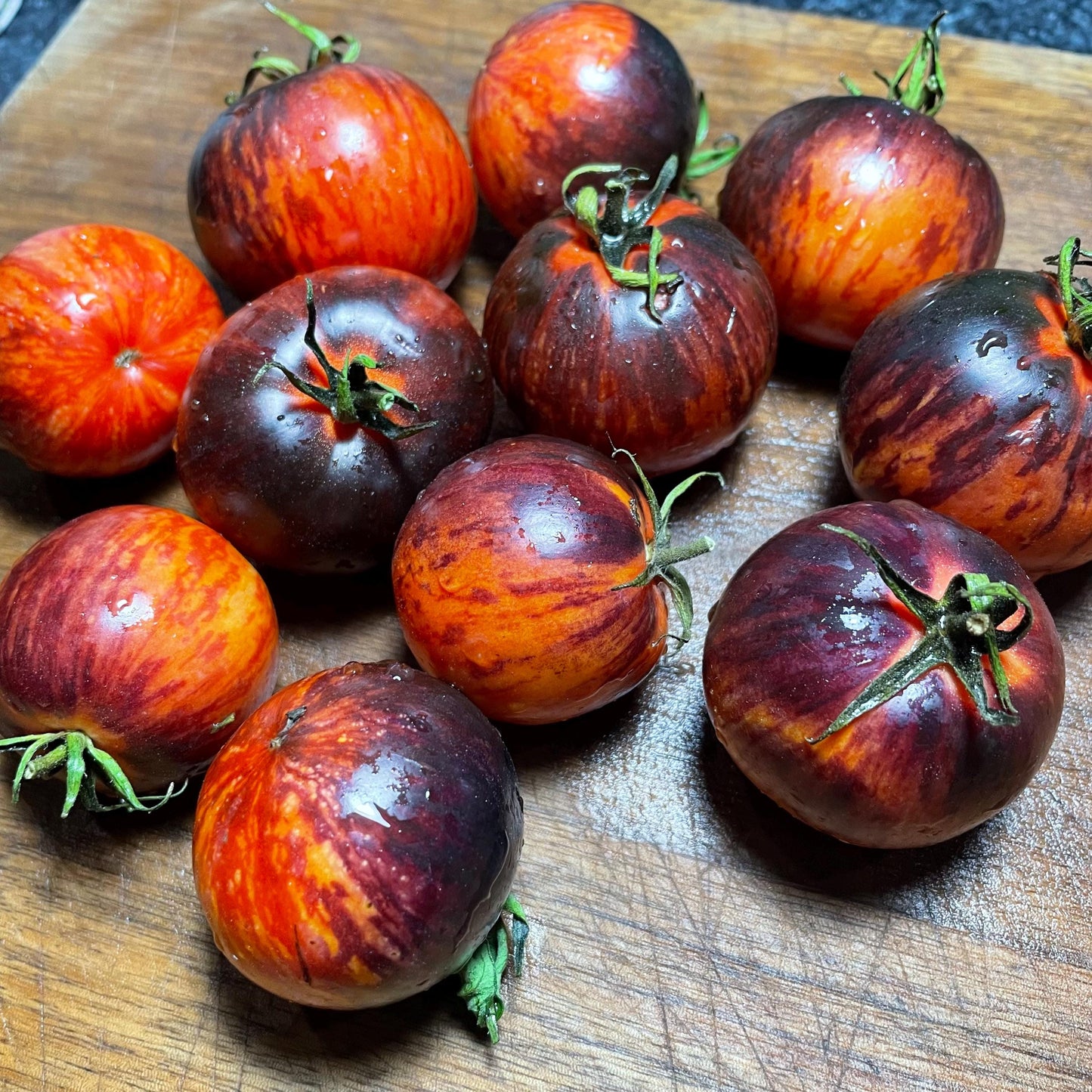 Queen of the Night - Tomato Seeds - Heirloom Tomato - 15+ Seeds