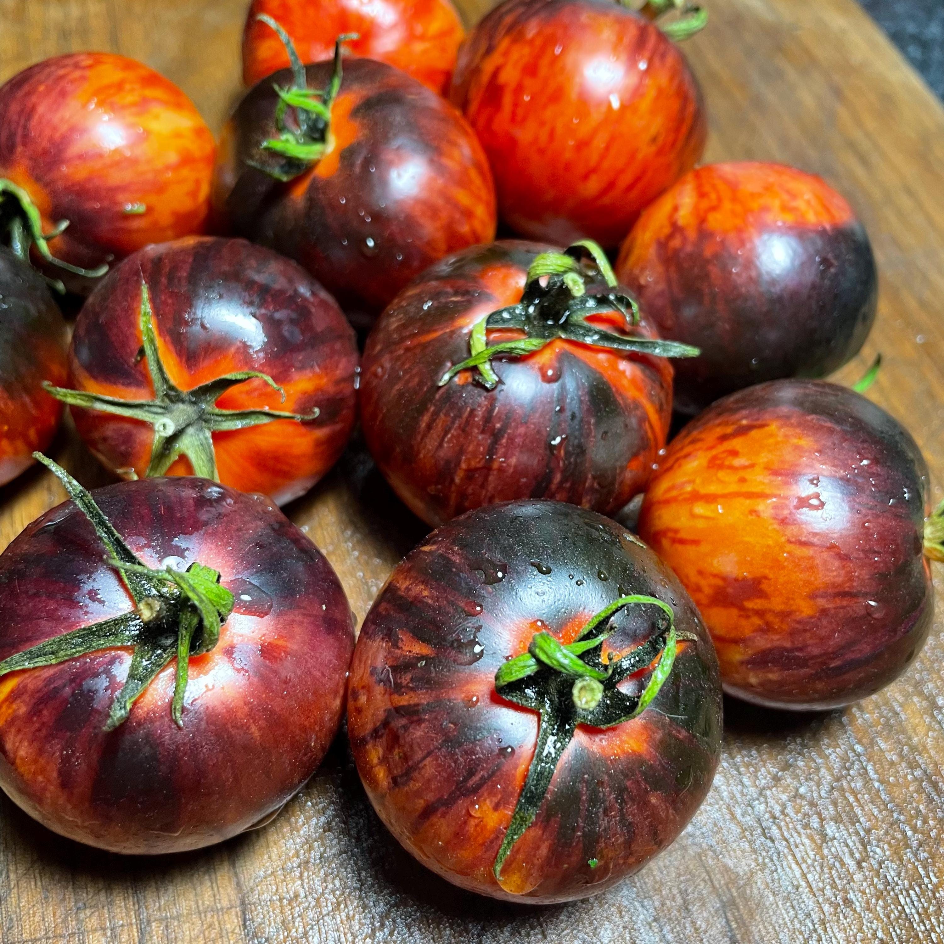 Tomato Seeds – Oak Summit Nursery