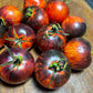 Queen of the Night - Tomato Seeds - Heirloom Tomato - 15+ Seeds