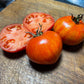 Feuerwerk - Tomato Seeds - Heirloom Tomato - 25+ Seeds