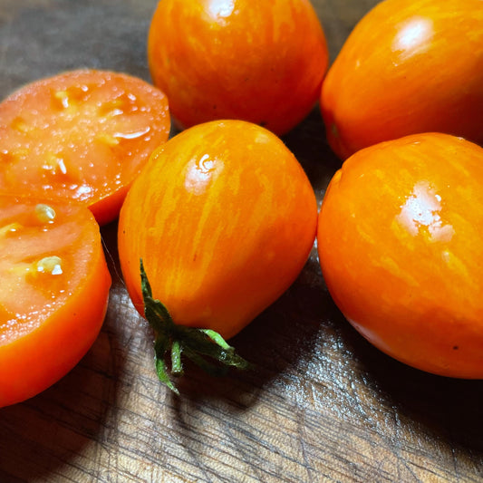 Apricot Zebra - Tomato Seeds - Heirloom Tomato - 25+ Seeds