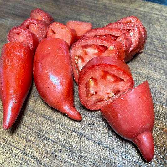 Jersey Devil - Tomato Seeds - Heirloom Tomato - 25+ Seeds