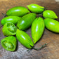Green Tiger - Tomato Seeds - Heirloom Tomato - 25+ Seeds