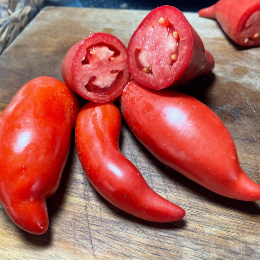 Opalka - Tomato Seeds - Heirloom Tomato - 25+ Seeds