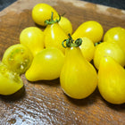 
Yellow Pear