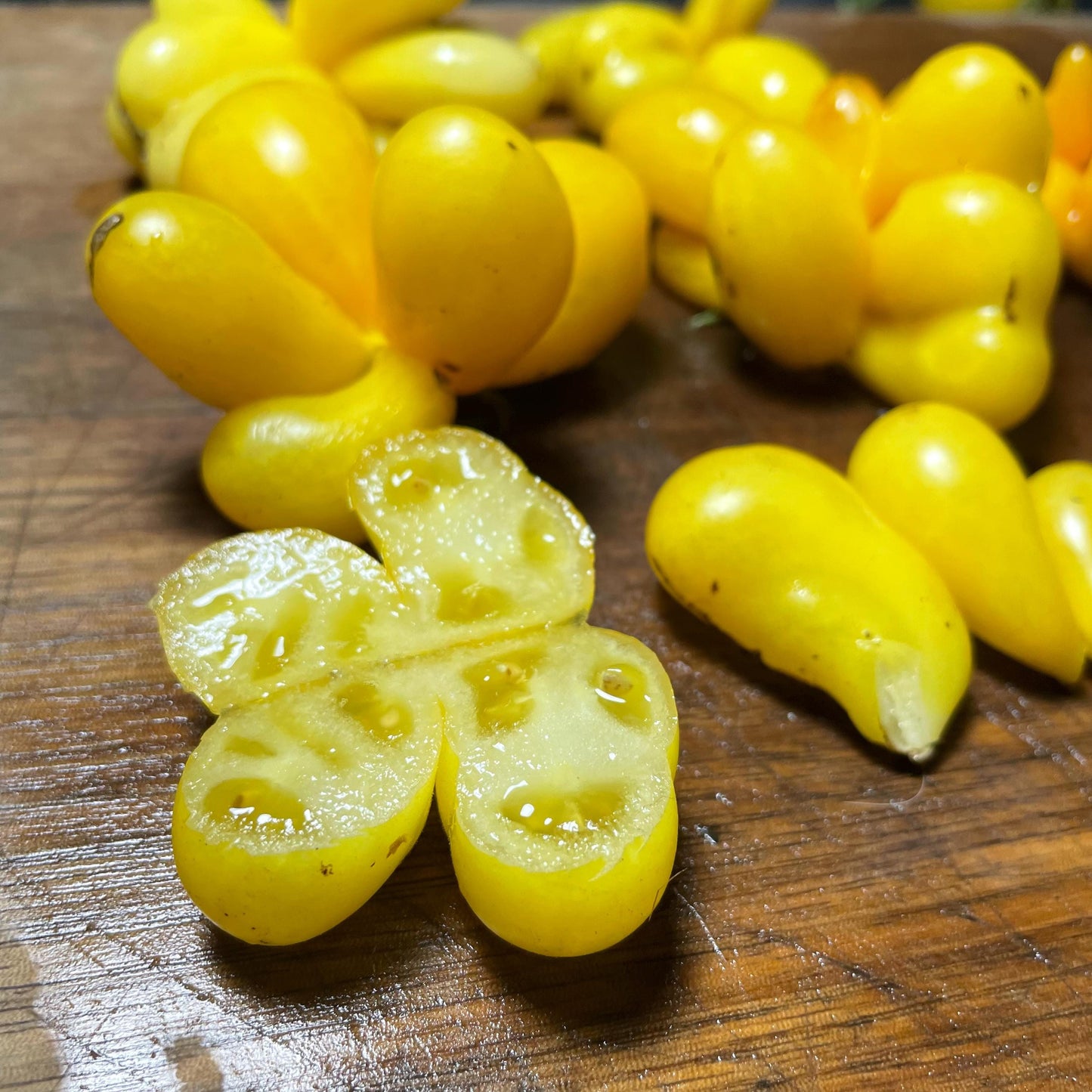 Phil's One - Tomato Seeds - Heirloom Tomato - 15+ Seeds