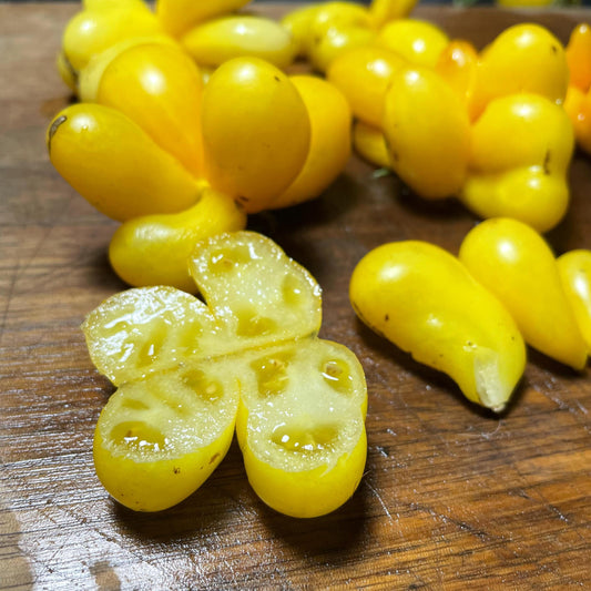 Phil's One - Tomato Seeds - Heirloom Tomato - 15+ Seeds