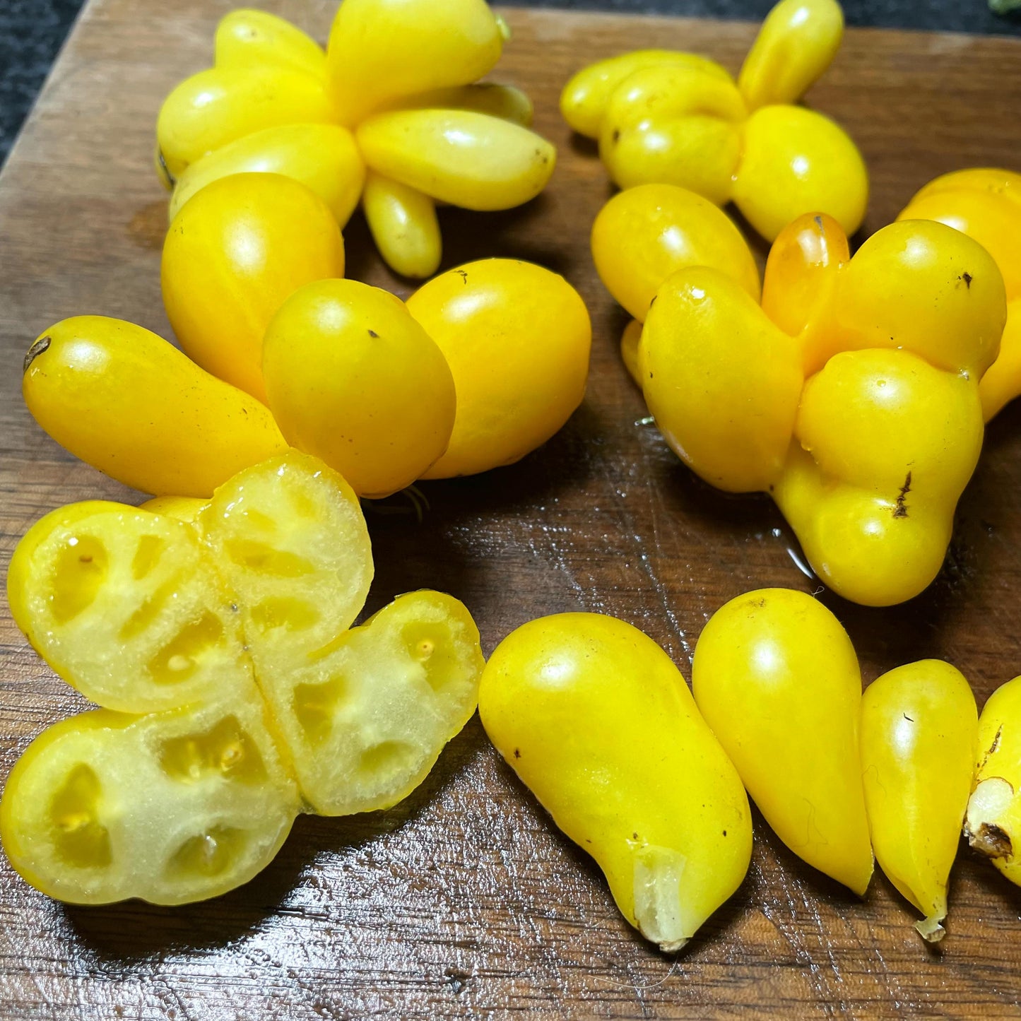 Phil's One - Tomato Seeds - Heirloom Tomato - 15+ Seeds