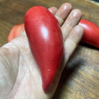 
Korean Long