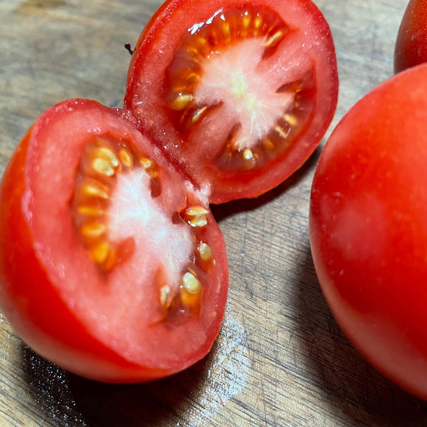 Manitoba - Tomato Seeds - Heirloom Tomato - 25+ Seeds